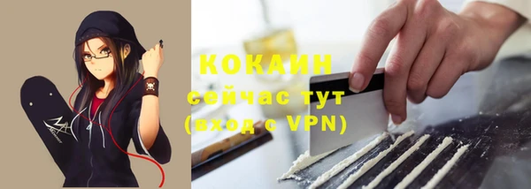 индика Балахна