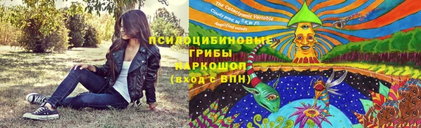 индика Балабаново