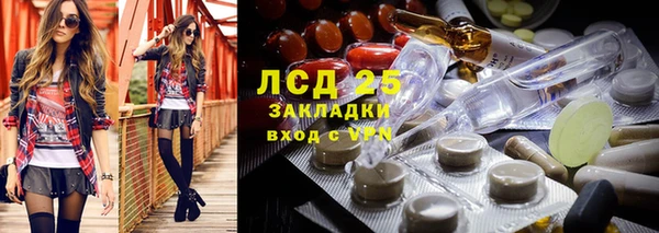индика Балабаново