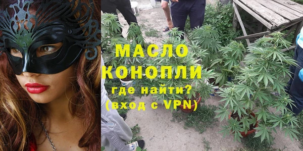 индика Балабаново