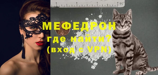 индика Балахна