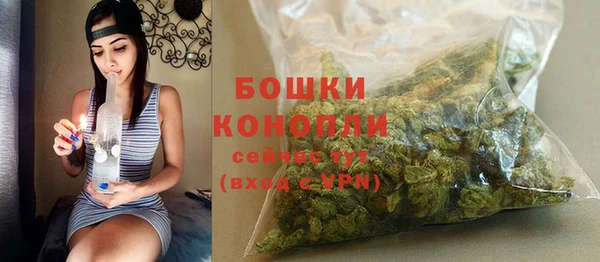 индика Балабаново
