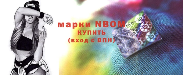 индика Балахна