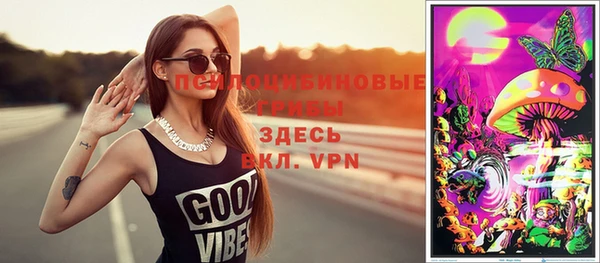 индика Балабаново