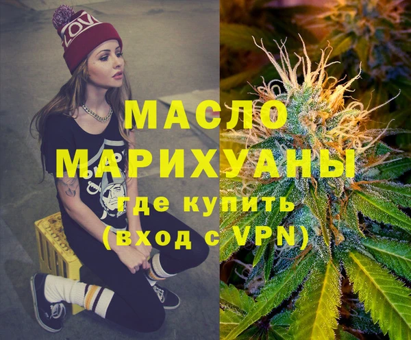 индика Балахна