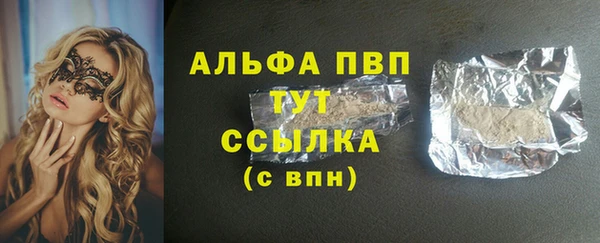 индика Балахна