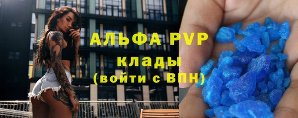сатива Аркадак